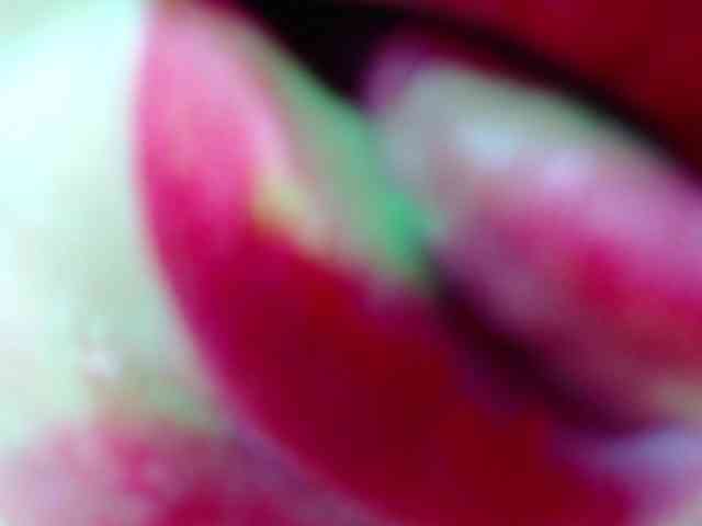 BulmaPrinces webcam