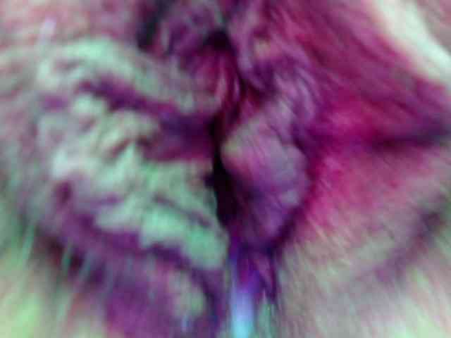 BulmaPrinces webcam