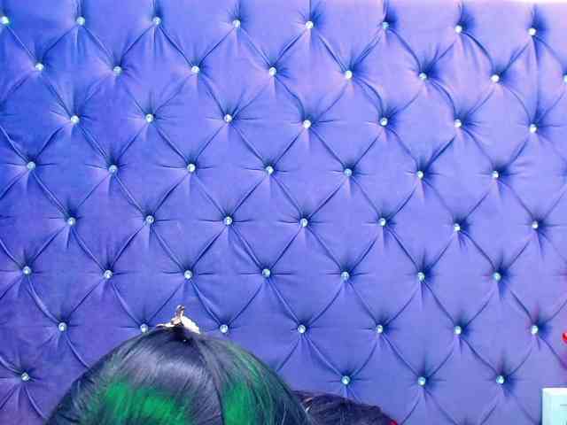 BulmaPrinces webcam
