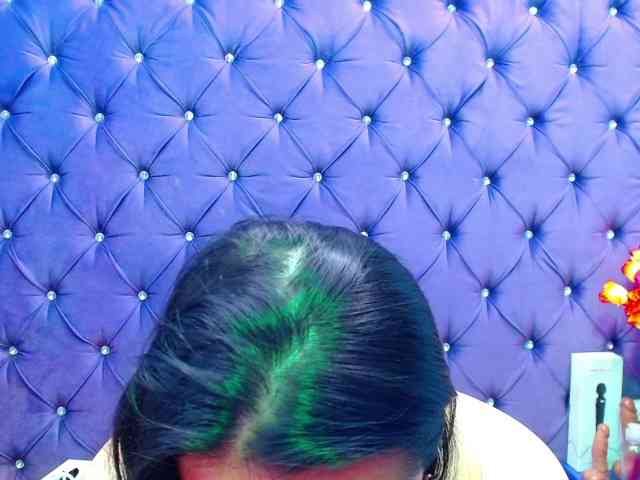 BulmaPrinces webcam