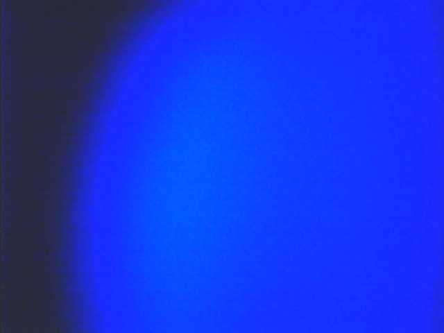 Preview of lovelyshantal