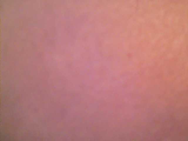 Preview of lovelyshantal