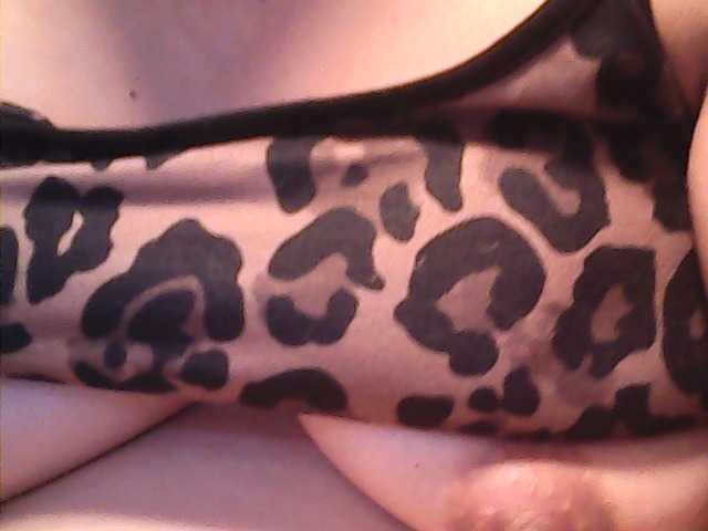 lovelyshantal's BongaCams show and profile