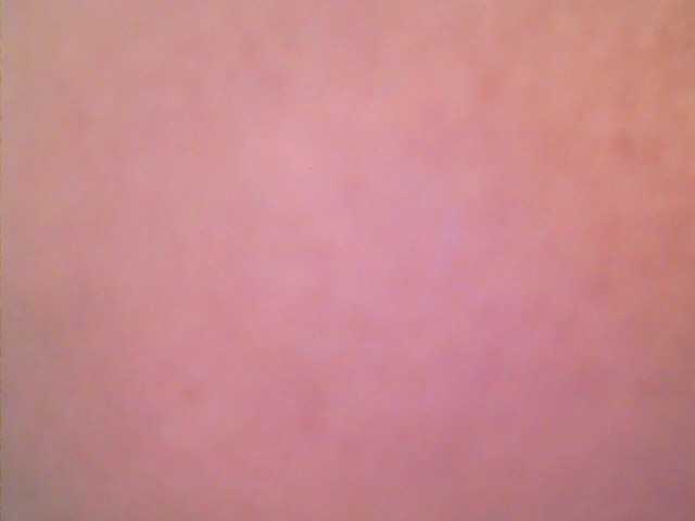 lovelyshantal's BongaCams show and profile