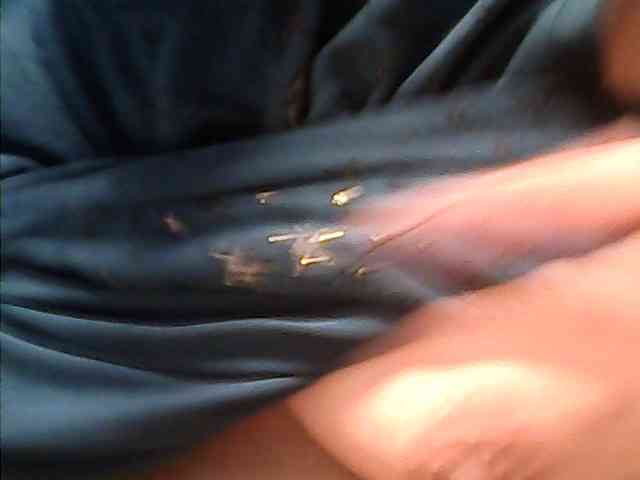 lovelyshantal webcam