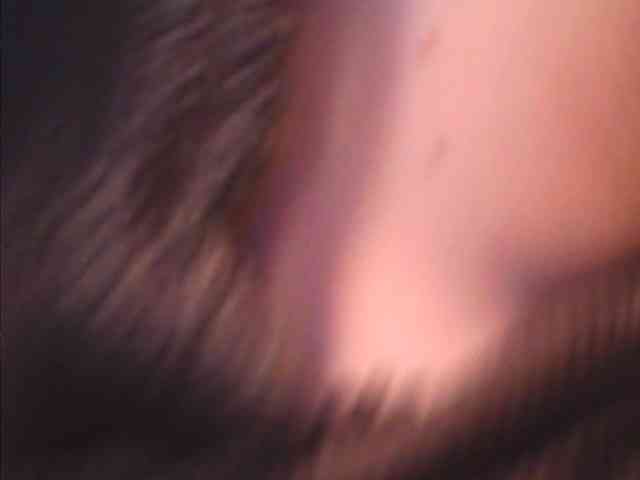 lovelyshantal webcam