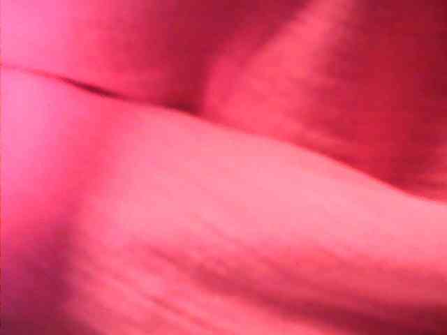 lovelyshantal webcam