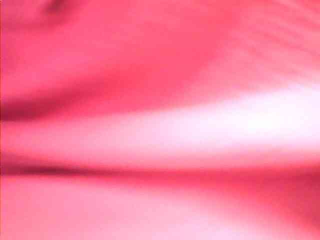 lovelyshantal webcam