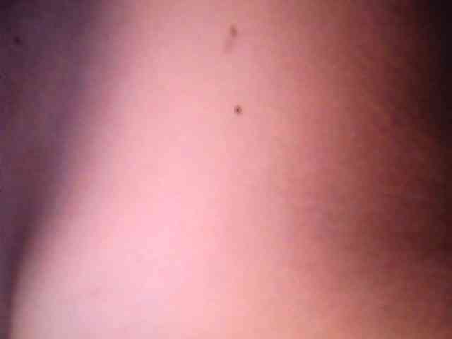 lovelyshantal lovelyshantal