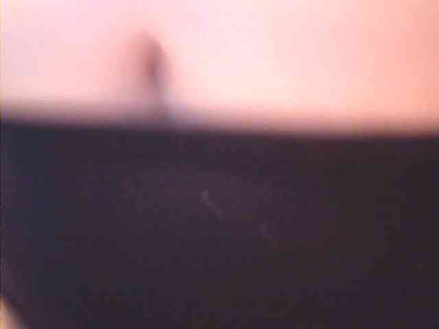 lovelyshantal webcam