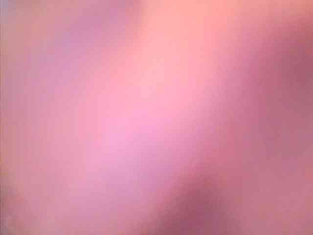 lovelyshantal webcam