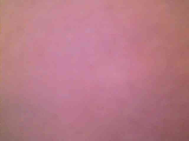 lovelyshantal webcam