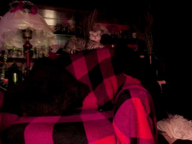 miss-asmodeus's BongaCams show and profile