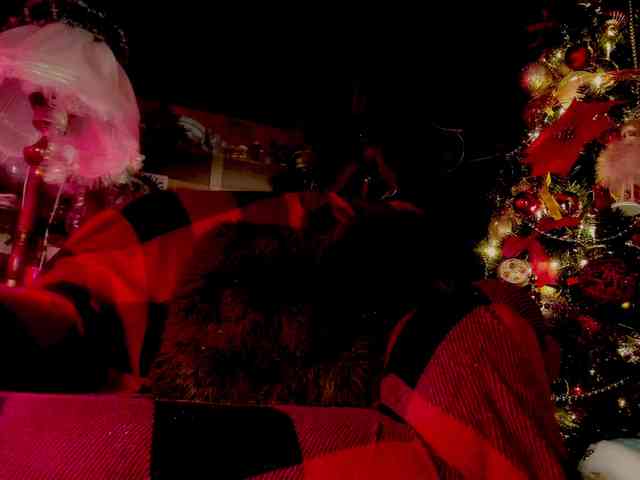 miss-asmodeus webcam