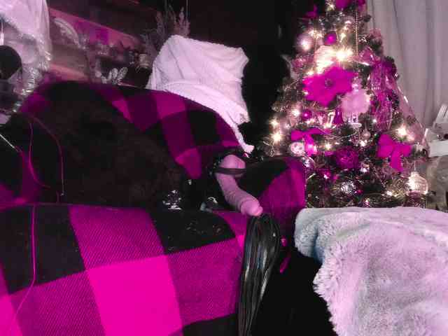 miss-asmodeus webcam