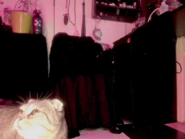 miss-asmodeus webcam