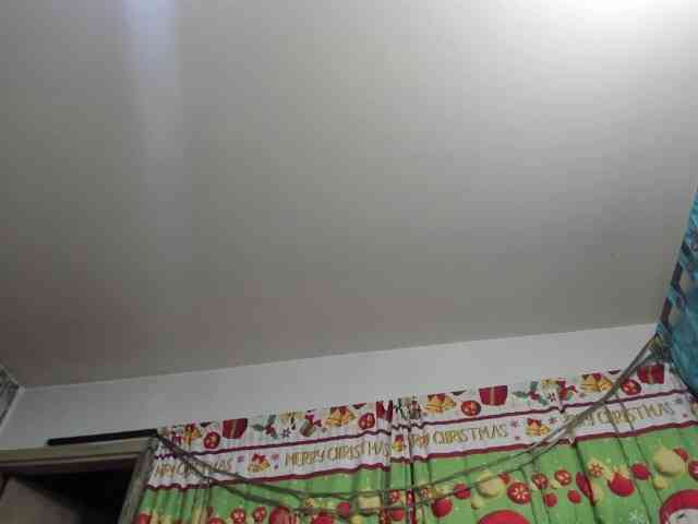 carlos-diana carlos-diana