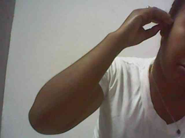 Lionchica webcam