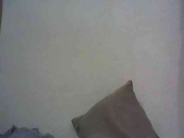 Lionchica webcam