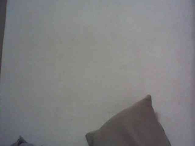 Lionchica webcam
