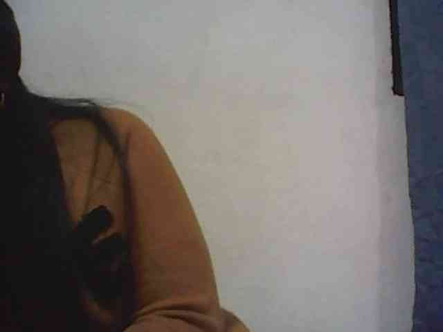 Lionchica webcam