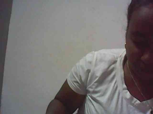Lionchica webcam