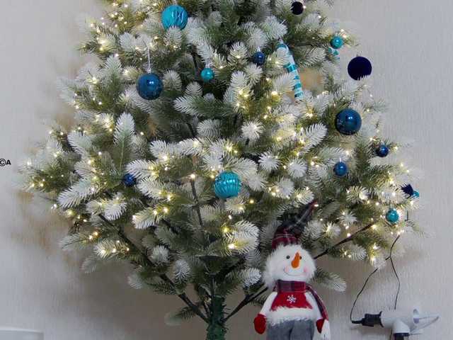 Hator's BongaCams show and profile