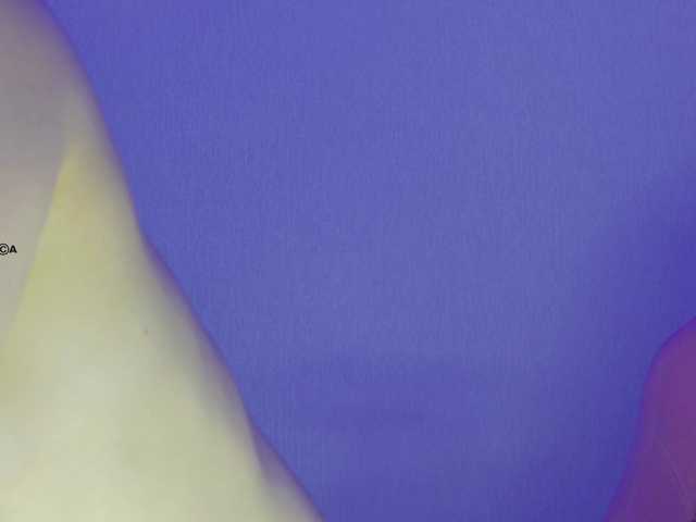 Hator's BongaCams show and profile