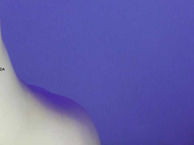 Hator's BongaCams show and profile