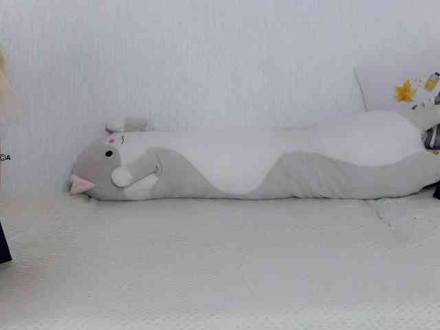 Hator webcam