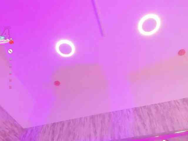 AngelRouse webcam