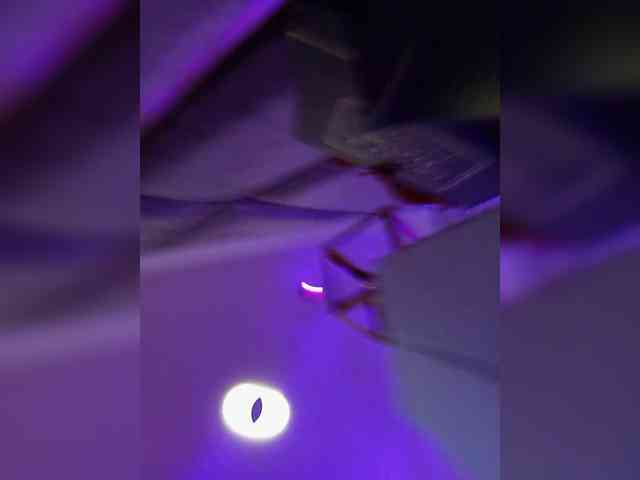 AngelRouse webcam