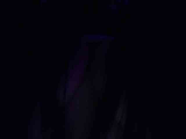 AngelRouse webcam