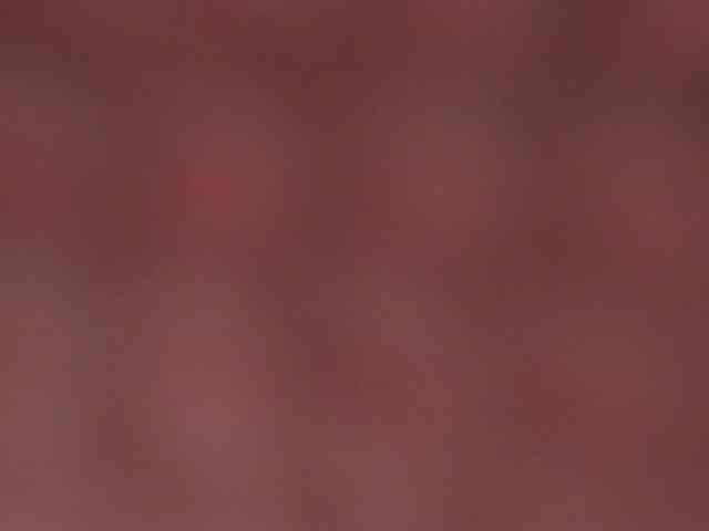 CarlaReys webcam