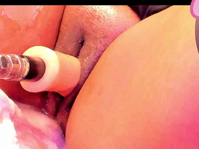 shaynamanson webcam