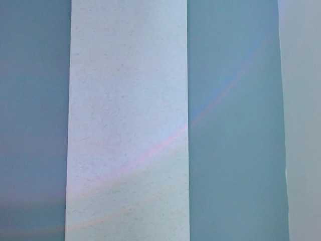 carlabeer's BongaCams show and profile