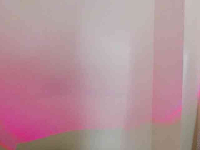 carlabeer webcam