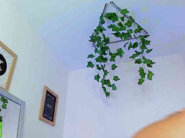 carlabeer webcam
