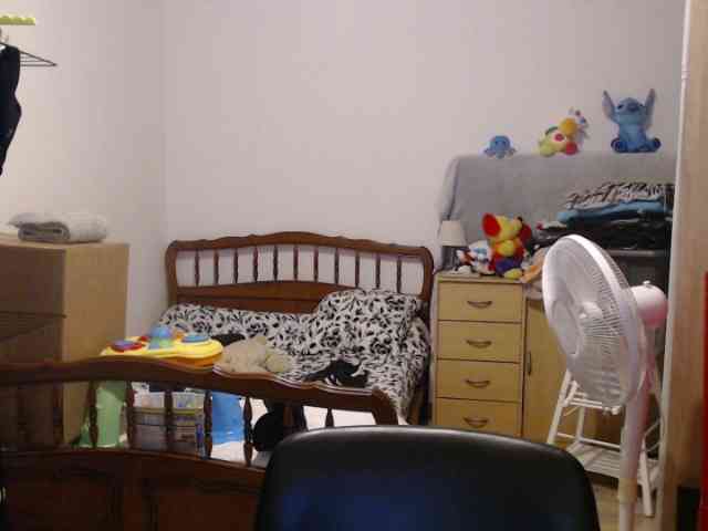 steph16311 steph16311