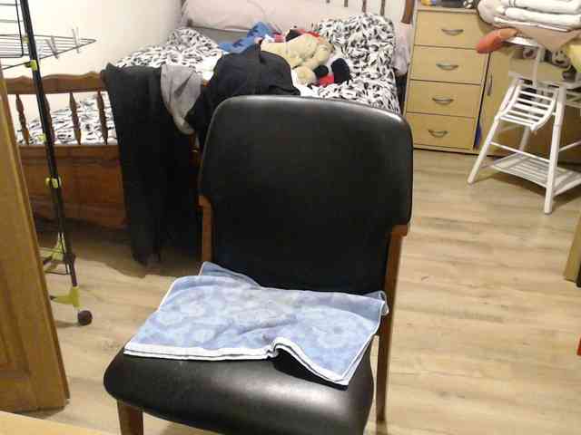 steph16311 steph16311