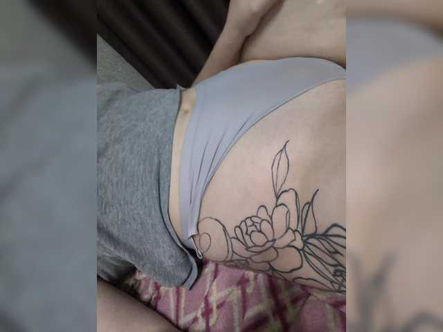 Antipidorr