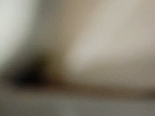 Bellychi Porn Show