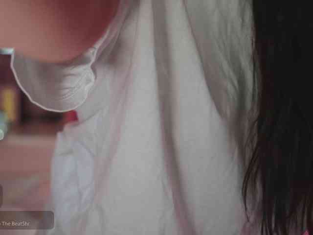 free live webcam -catt-
