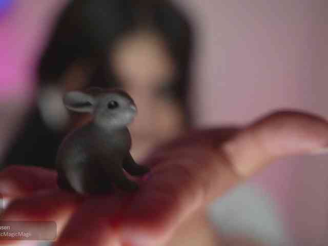 -Madi- webcam
