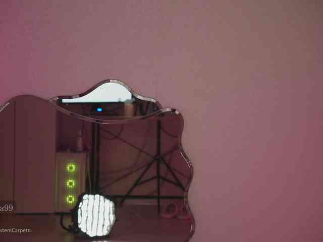 anonymous video chat -catt-