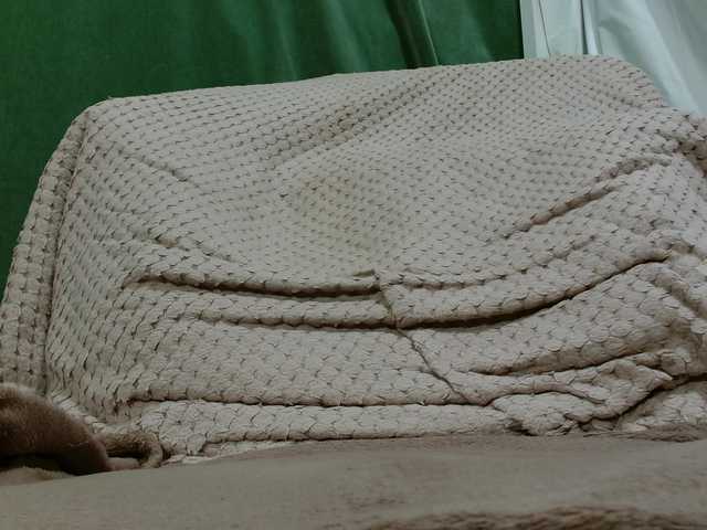 Lolaxx-x's BongaCams show and profile