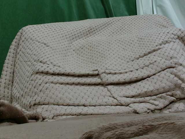 Lolaxx-x's BongaCams show and profile