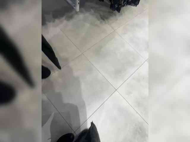 Golden_flower webcam