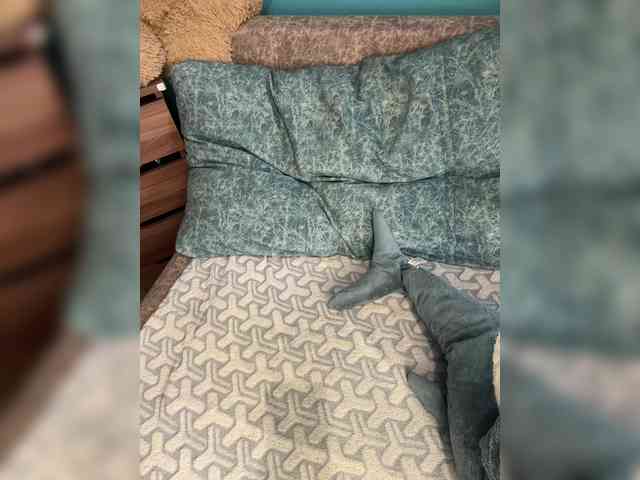 Golden_flower webcam