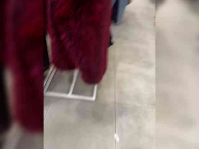 Golden_flower webcam